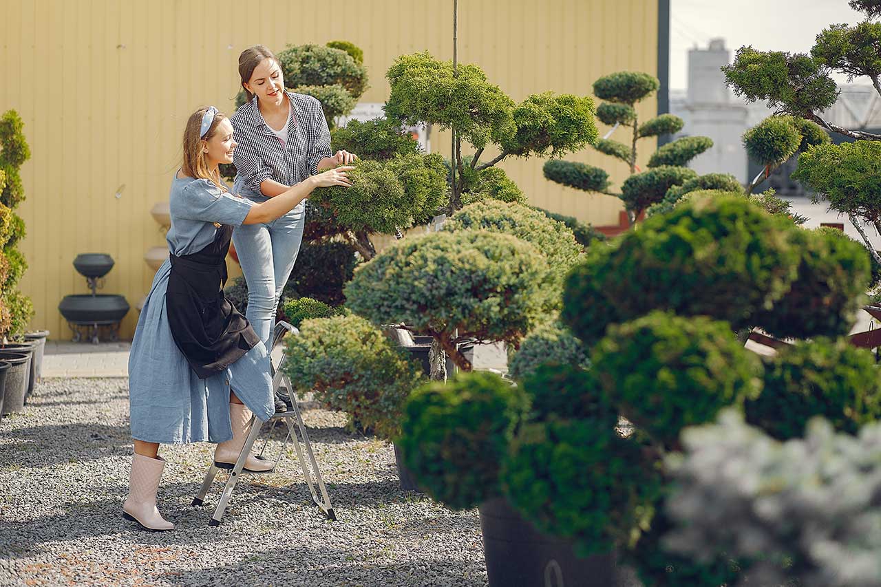 divi-landscaping-theme-12