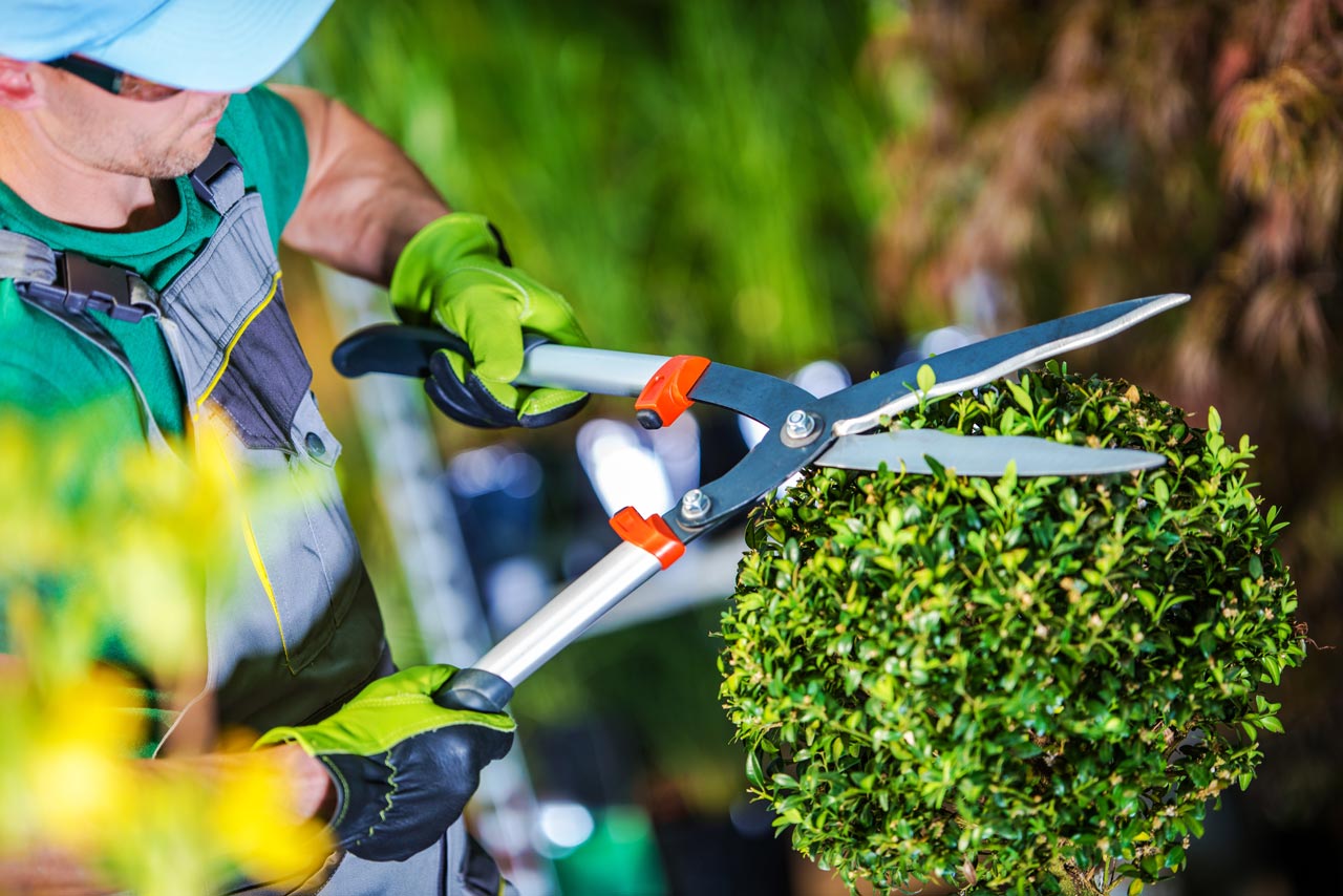 divi-landscaping-theme-3